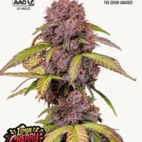 LEMON Cherry COOKIES Auto